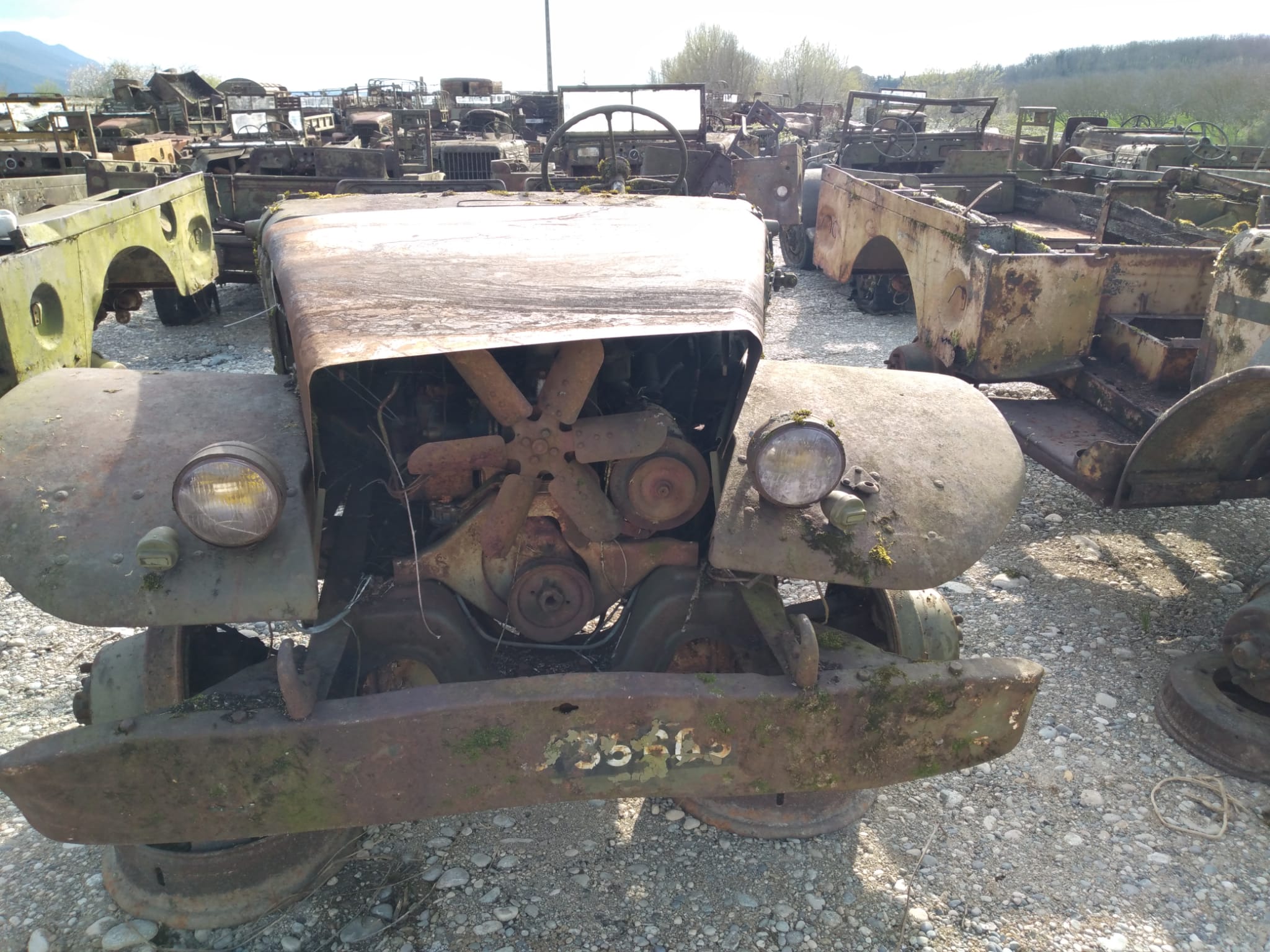 DODGE WC 51